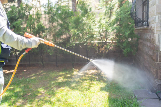 Best Best Pest Control Companies  in Tokeneke, CT